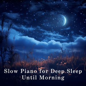 东北老妓女露脸对白在线播放
